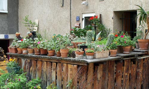 Jardinet dans la cité Vauban de Briançon.