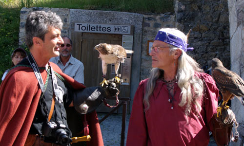 Des Faucons à Briançon.