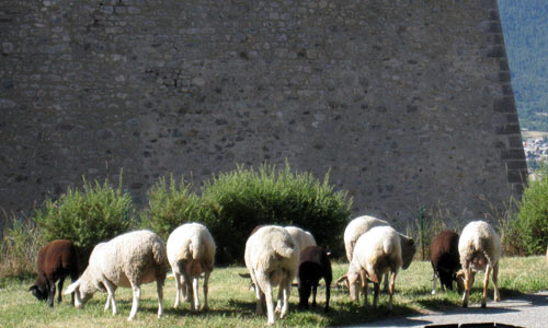Les remparts de la cité Vauban de Briançon.