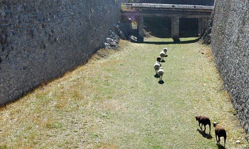 Les fossés de la cité Vauban à Briançon.