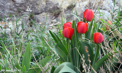 Le printemps dans La cité Vauban à Briançon.