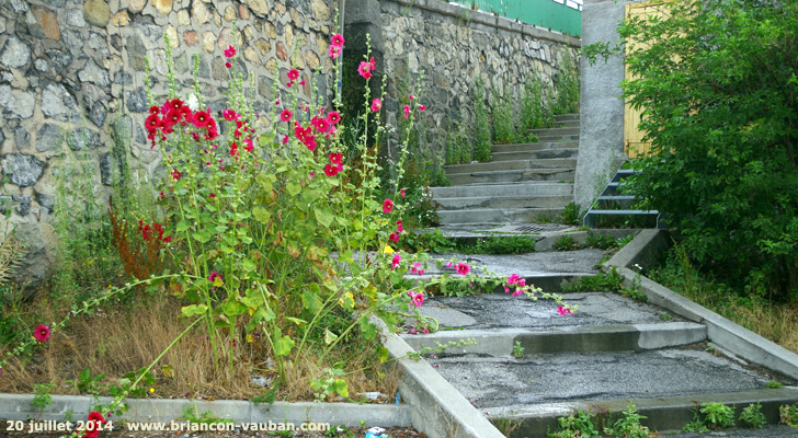 Un jardinet rue Rostolland à Briançon.