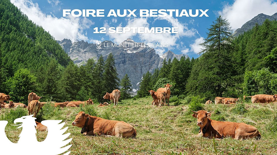 Foire-aux-bestiaux. 