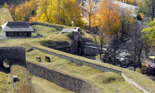 Entretient des remparts de la citadelle Vauban.