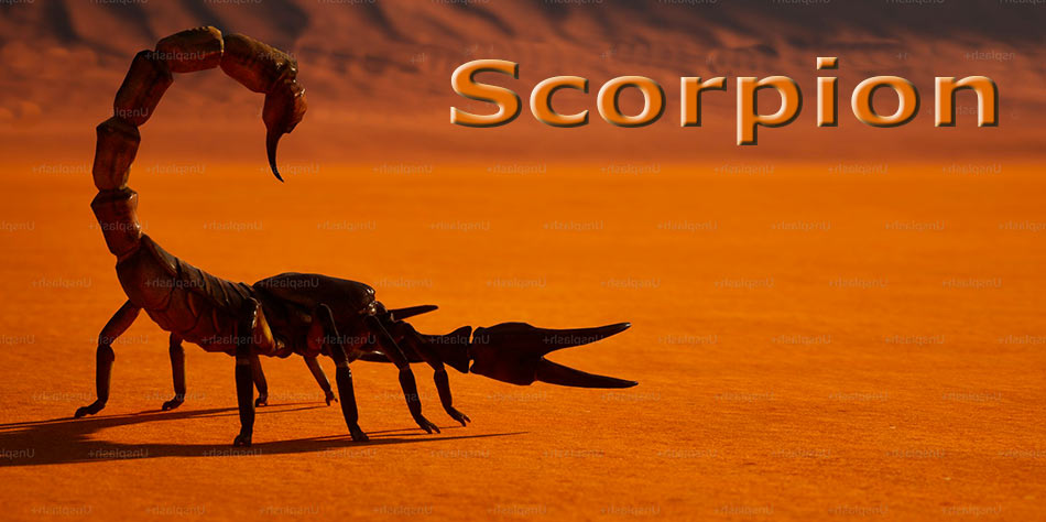 Signe du scorpion