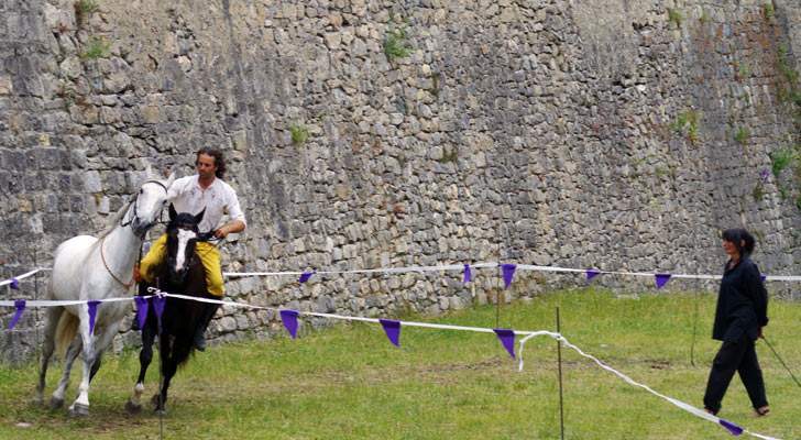 la troupe équestre d'Estoban à Briançn
