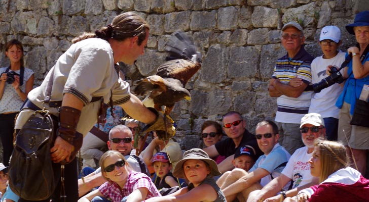 Valéry Marche et ses rapaces