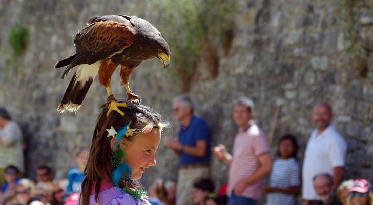 Valéry Marche et ses rapaces