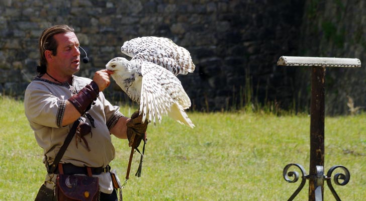 Valéry Marche et ses rapaces