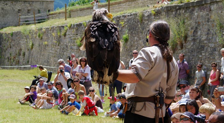 Valéry Marche et ses rapaces