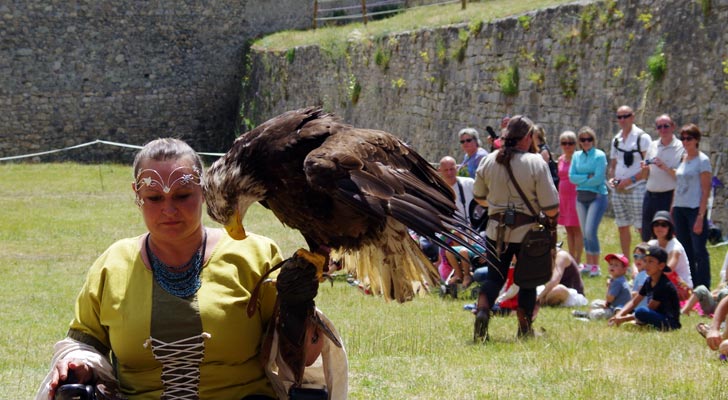 Valéry Marche et ses rapaces