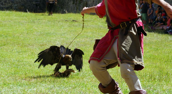 Valéry Marche et ses rapaces