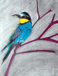 Aquarelles et encre de chine